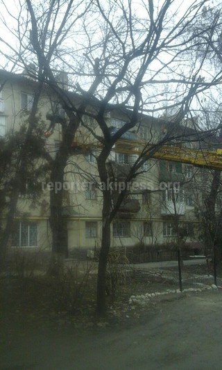 «Зеленстрой» выполнило снос аварийных деревьев на ул.Ахунбаева, - мэрия Бишкека