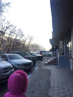 На участке ул.Боконбаева пешеходам приходится идти по дороге, так как тротуар занят живой изгородью и элиткой, - читатель (фото)