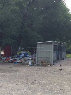 Люди без определенного место жительство постоянно вытаскивают мусор наружу из мусорных баков, расположенных в нижней части 8 мкр (фото)