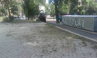 Обрезанные ветки деревьев на Токтогула-Панфилова убраны, - мэрия Бишкека