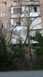 Читатель просит спилить аварийные деревья во дворе дома №41 в 5 мкр (фото)