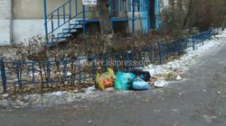 На Ахунбаева-Шота Руставели местные жители выбрасывают мусор у себя под окнами (фото)