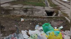 На Ахунбаева-Островского оставляют мусор на газоне (фото)
