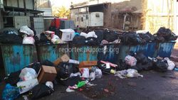 На участке ул.Жукеева-Пудовкина не вывозится мусор,- житель (фото)