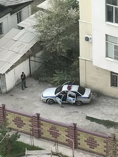 Бишкекчанин просит принять меры в отношении сотрудников милиции, которые ежедневно приезжают и отдыхают на ул.Коенкозова (фото)