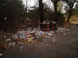 В южной части парка имени Ататюрка не убирается мусор, - бишкекчанин