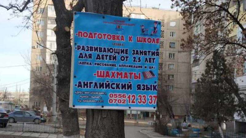 В Бишкеке на ул.Ауэзова прибитая к дереву рекламная табличка была убрана, - мэрия