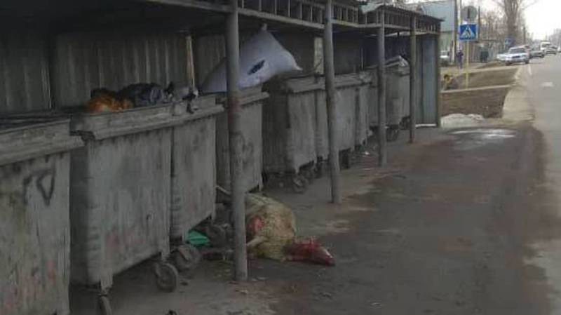 На ул.Щербакова возле мусорных баков лежит мертвый баран, - бишкекчанин (фото)