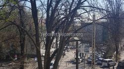 В Бишкеке на Московской-Тоголок Молдо сухое дерево может упасть на дорогу (фото)