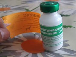В ветаптеке продают антибиотик Цефтриаксон как средство от блох (видео)