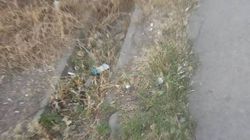 В Токмоке в микрорайоне №1 арыки забиты мусором и землей (фото)