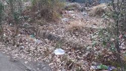 В 4 мкр на ул. Юнусалиева разбросан мусор (фото)
