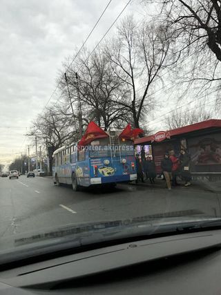 Бишкекчанин просит снять госфлаг с троллейбуса <i>(фото)</i>