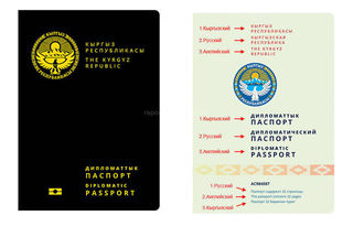 Во вновь высланных ГРС образцах паспортов не соблюден порядок языков, - читатель (фото)