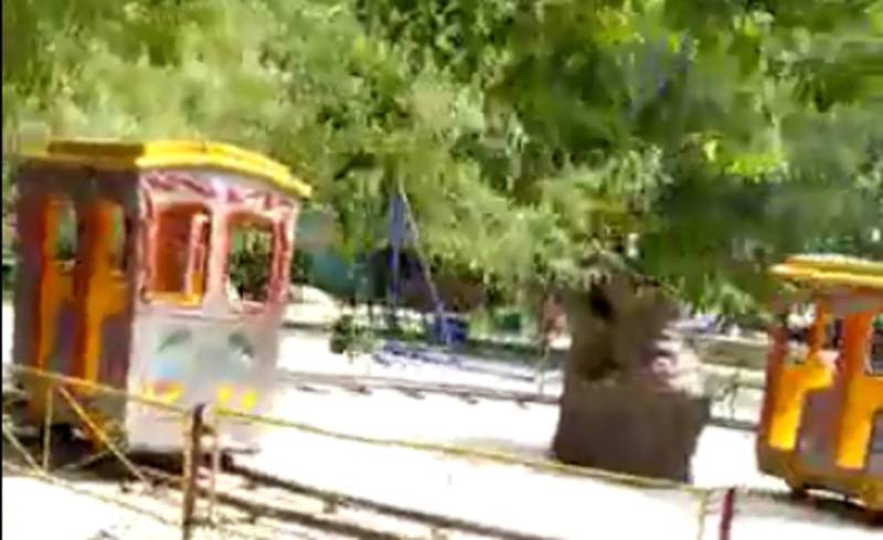 Жители Бишкека просят установить уличные тренажеры в парке за Аламединском рынком (видео)