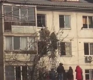 Возле Орто-Сайского рынка в одном из домов произошел пожар, жильцов 3 и 4 этажей спускают по строительной лестнице (видео)