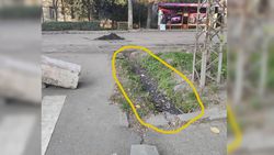 Бишкекчанин просит провести очистку арыка на Московской-Коенкозова