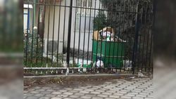 Уже неделю не убирается мусор у входа в здание административного управления Александровского айыл окмоту, - житель