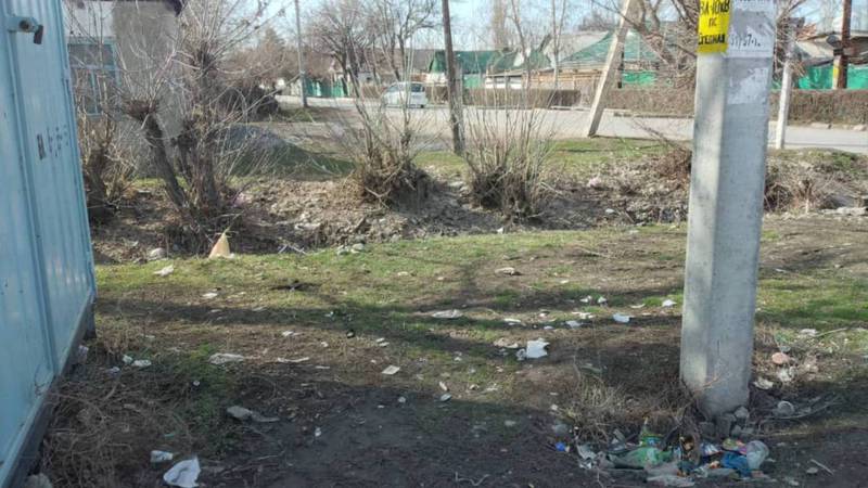 Территория на пересечении улиц Труда и Луговой в Кара-Балте завалена мусором, - жительница
