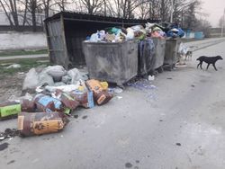 В Газгородке на трех улицах не вывозят мусор <i>(фото)</i>