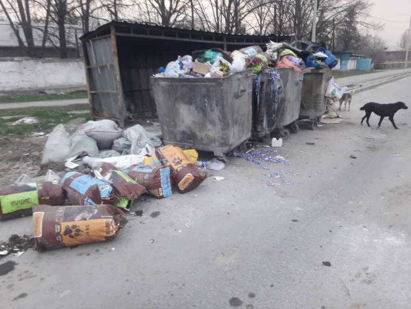 В Газгородке на трех улицах не вывозят мусор (фото)