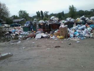 В районе Стеклозавода по ул.Широкая давно не вывозят мусор, - читательница <b>(фото)</b>