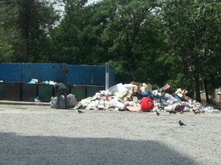 На Тыныстанова-Ахунбаева две недели не вывозят мусор <b>(фото)</b>