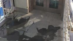 «Грязь и пыль». Бишкекчанка Евгения жалуется на состояние надземного перехода возле рынка «Мадина»