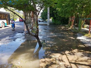 В 5-м микрорайоне затопило тротуар (фото)