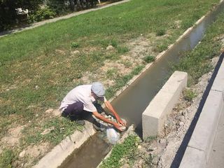 «Бишкекзеленхоз» изменил русло арычной воды, которая затапливала тротуар в Аламедине-1
