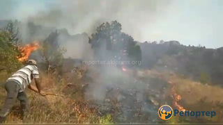Видео — Как местные жители тушат пожар в Кара-Арче и что осталось после огня?