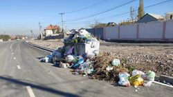 Почему на Шералиева мусорные баки стоят на проезжей части? Фото