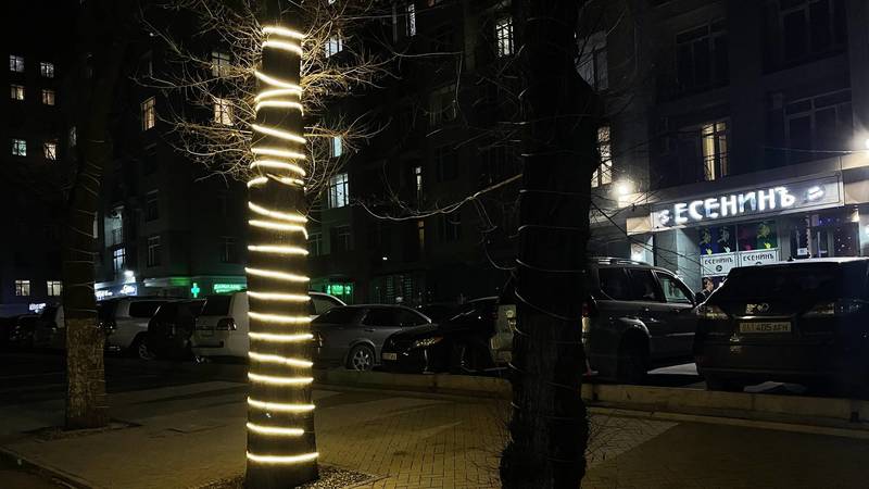 Кофейня «Есенинъ» обмотала гирляндой дерево, - бишкекчанин. Видео и фото