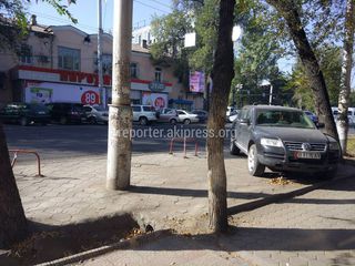 Законно ли установлены ограничители парковки на ул.Московской?