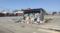 На Шералиева снова мусор вываливается из баков. Фото