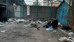 «Грязь, крысы, вонь». На Логвиненко-Панфилова разбросан мусор. Фото