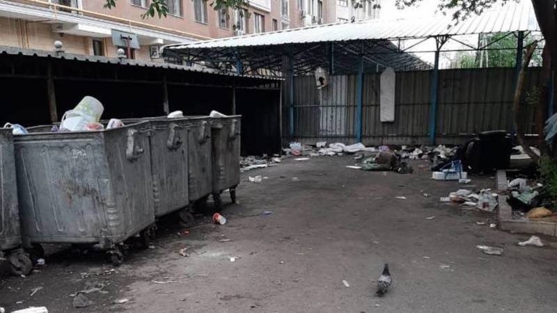 «Грязь, крысы, вонь». На Логвиненко-Панфилова разбросан мусор. Фото