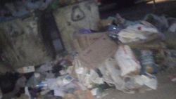 Возле 4-й горбольницы мусор вываливается из баков. Фото