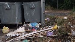 Почему на Тимирязева не убирают мусор возле баков? Фото горожанина