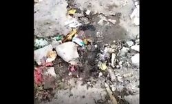 Жительница Бишкека Алла жалуется на качество уборки мусора