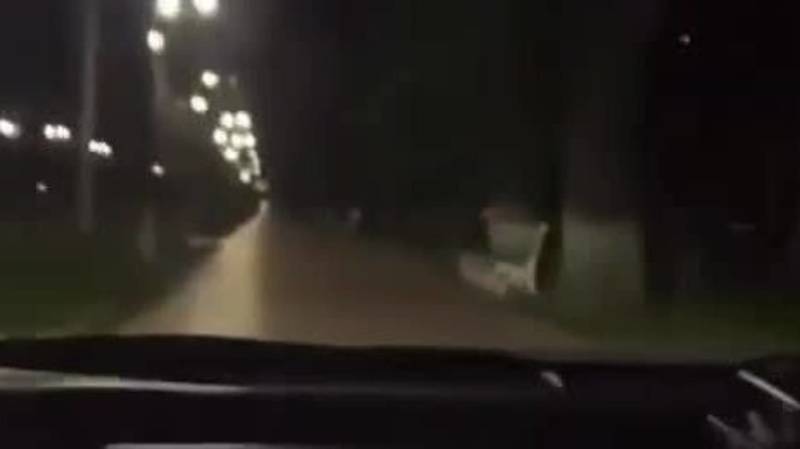 Водитель проехал по тротуару бульвара Эркиндик и опубликовал видео в TikTok. Видео