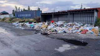 Фото — В Верхнем Токолдоше не забирают мусор