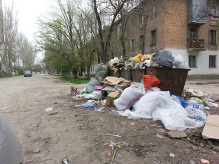 Улица Профсоюзная завалена мусором и много бродячих собак, также на улице Ахунбаева стоят горы мусора - жители <b><i>(фото)</i></b>