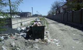 Крысы и переполненные мусорные баки возле университета Ала-Тоо Ататюрк, - читатель <b><i>(фото)</i></b>