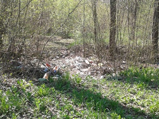 Залежавшийся мусор вдоль центральной аллеи парка Ататюрка, - читатель <b><i>(фото)</i></b>