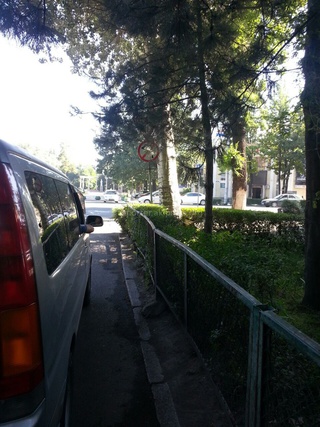На пересечении бульвара Эркиндик и проспекта Чуй знак «поворот налево запрещен» прикрыт веткой дерева, многие водители его не замечают, - читатель <b>(фото)</b>
