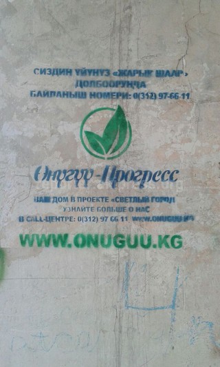 Партия «Өнүгүү прогресс» баллончиком рисует свою рекламу на жилых домах и портит вид города, - житель <b><i>(фото)</i></b>