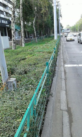 Где цветы в горшках на обочине дорог столицы, на которые было потрачено 9 млн сомов? - горожанин <b><i>(фото)</i></b>