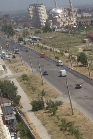 «Зеленстрой города Бишкек» рассмотрел жалобу об утечке воды на ул.Тыналиева