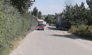 Из-за живых изгородей, растущих вдоль ул.Бухарской в Бишкеке, дорога немного ссужена, - читатель (фото)